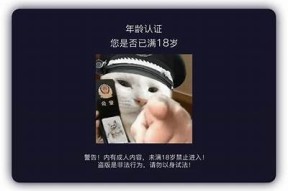 如何有效提升抖阴PAA内容的排名与曝光率技巧
