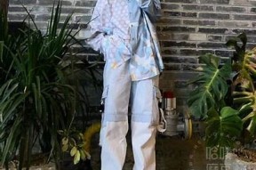 探索个性潮流：麻豆传媒手机壳图片推荐与购买指南
