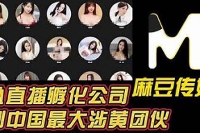 探秘向日葵麻豆传媒：如何打造高效内容创作平台
