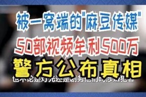 麻豆文化传媒真实情况揭秘：行业内幕与用户反馈调查