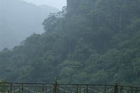 风雨落处染苍山：探寻抖阴APP播放器的独有魅力