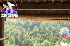 探索抖音背后的秘密：如何打造热门短视频内容？