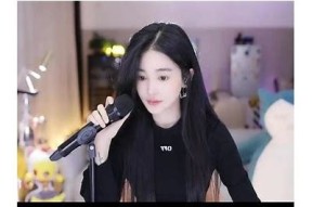抖阴黄版APP破解版免费下载，安装教程及使用技巧揭秘