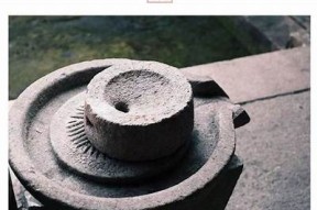 抖阴laosiji：探索潮流文化与创意视频的全新平台