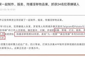 麻豆传媒电影解析：它们真的不犯法吗？