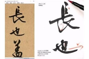 此抖阴非彼自抖音：解析两者的本质与区别