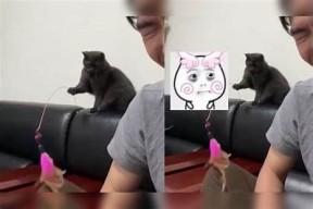 快猫抖阴使用技巧与推荐，掌握更多隐藏功能