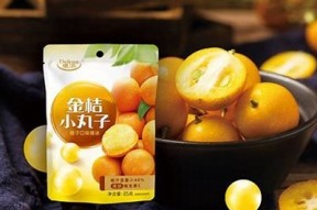 麻豆传媒精选视频合集：畅享多元化娱乐内容，带你探索不一样的视听盛宴