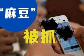 麻豆污传媒：免费下载与使用指南，畅享海量精品内容