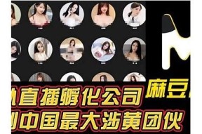 麻豆映视传媒污的真相揭秘：行业内幕与真实性研究