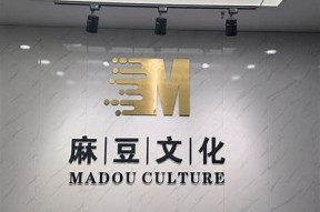 麻豆文化传媒沐沐种子：探索风靡一时的网络文化情况
